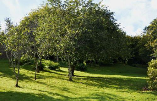 Thornwell Cottage - Heart of the village, amazing gardens, glorious views and brimming with character - Foto 17