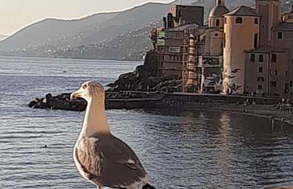 La casa di Amelia - Foto 33