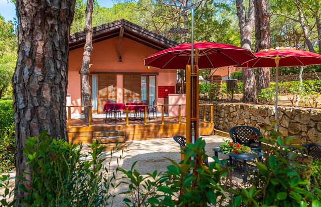 Camping Lacona Pineta - Photo 16