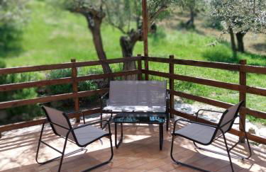 Villa Elster Country House - Foto 4