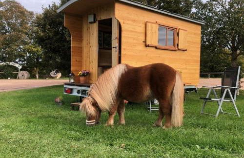 Schäferwagen Altensteig - Foto 1