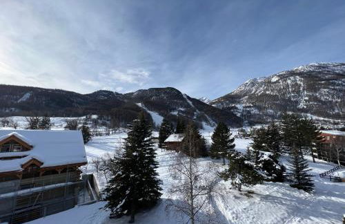 Aigle Noir - Photo 13