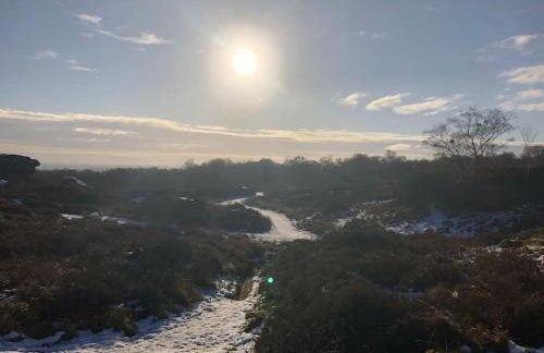 Springhill Studio, Brimham Rocks Yorkshire Dales - Photo 26