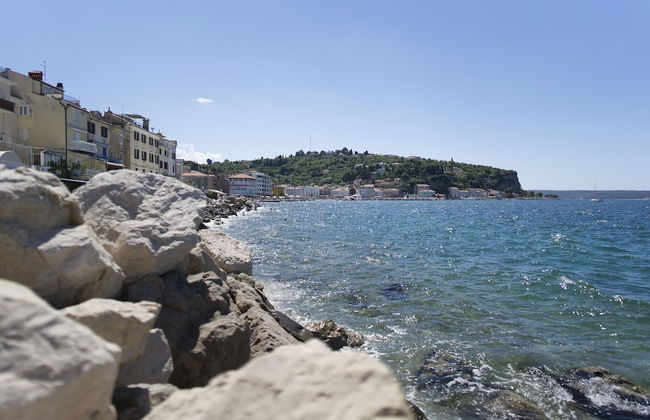 Punta Apartment KA 2.2 - Foto 16