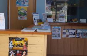 Apartaments Mar Blau Calella - Foto 47