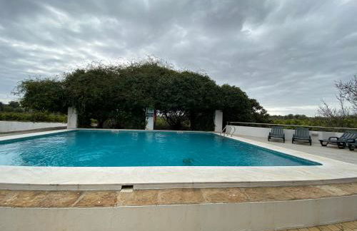 Hortas de Baixo - Foto 12