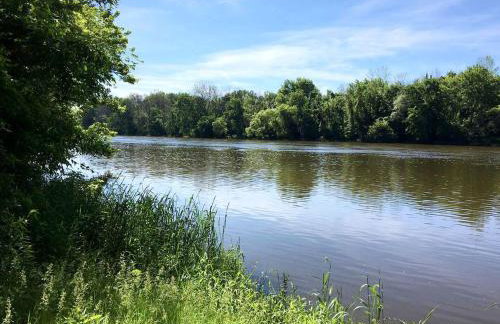 Lovely Cottage Rental with a Pool and Stunning Garden near Grand Rapids in Michigan - Foto 18