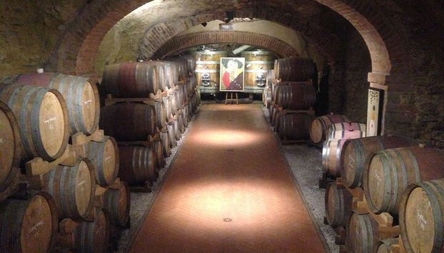 Tour enológico por la Toscana desde Livorno Port - Foto 4