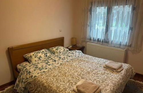 Stymfalia Cozy Village Guesthouse - Foto 15