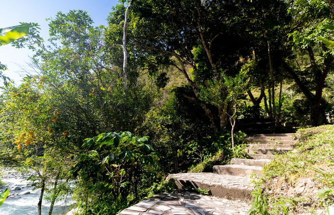 Casa de campo Los Yungas - Photo 37