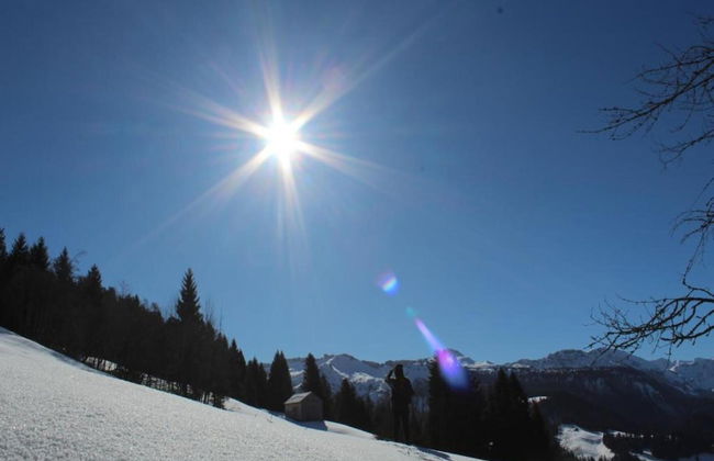 Dog-friendly Chalet in Bregenzerwald - Photo 36