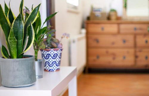 Casa Oceano-Mar a vista - Foto 17