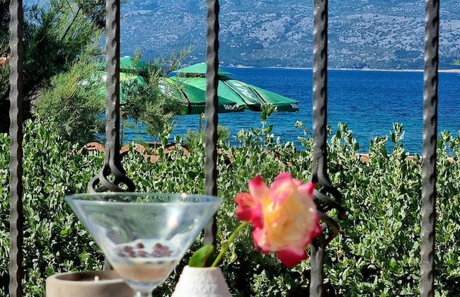 Beach House Calendula - Foto 58