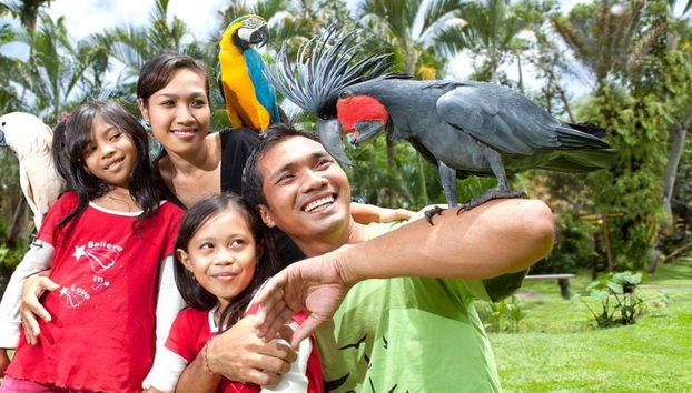 Bali Bird Park Ticket - Foto 2