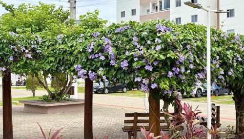 Apto minimalista na melhor localização do SIM - Foto 4