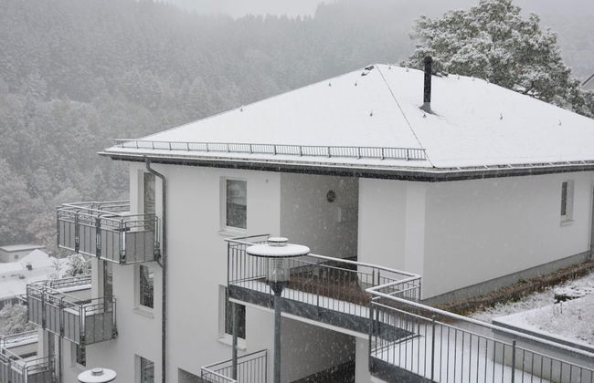 Lovely Apartment with Balcony in Willingen near Ski Lift - Photo 1