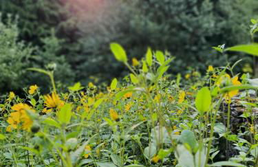 Cliff House Holiday Cottages - Foto 44