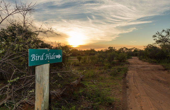 The Dreamcatcher Lodge - Photo 20