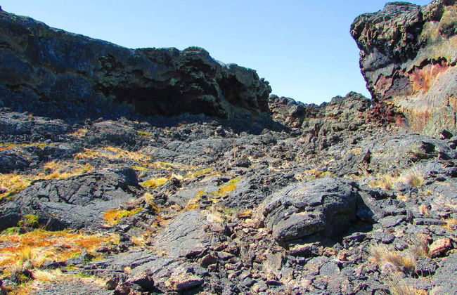 Excursión al Parque Nacional Pali Aike - Foto 6