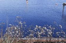 Signora Ruth - Aprilia Residence - Photo 25