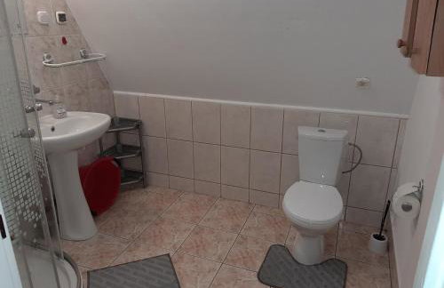 Domki nad potokiem w Baligrodzie - Foto 6