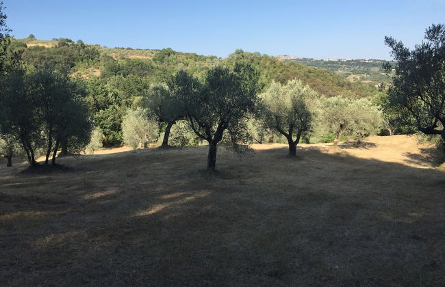 Agriturismo Campo al Crognolo - Photo 23