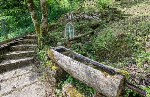 La Casa di Luisa, Un tuffo nel verde! - Foto 14