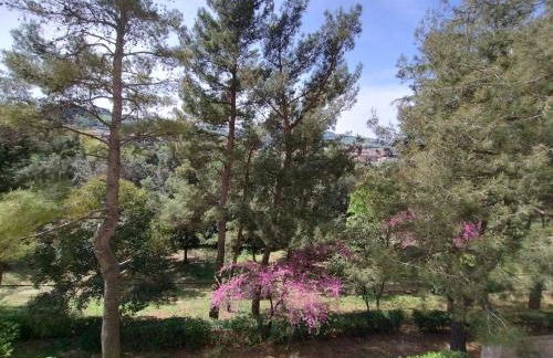 La Casa di Giulia - Foto 21