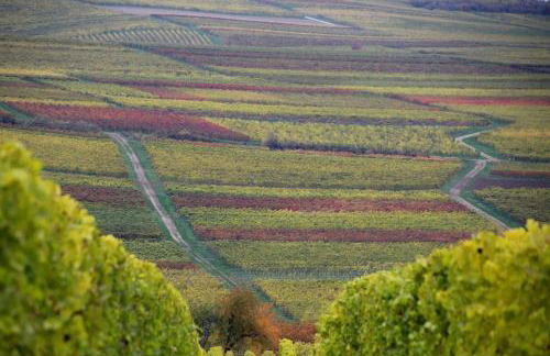 Ferienwohnung im schönen Zellertal - Foto 26