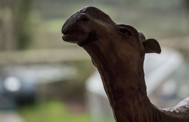 Orchard Cottage - Luxury Barn Conversion - Foto 47