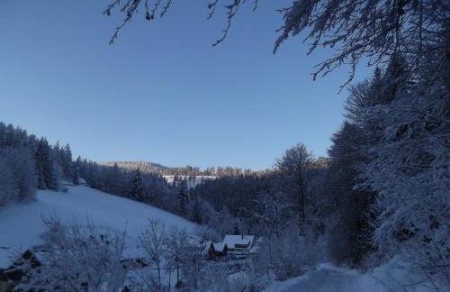Ferienwohnung Schönmünzblick - Photo 39