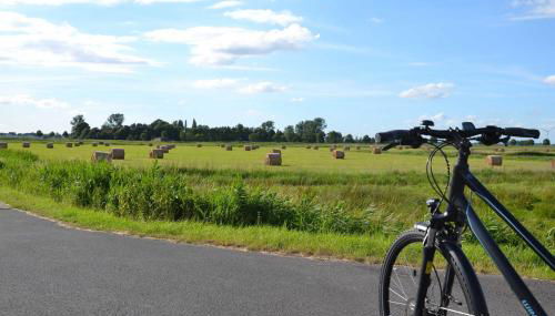 Ferienwohnung Berta 25508 - Foto 5