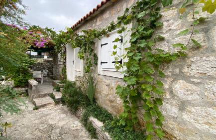 Villa rustica bougainvillea - Foto 2