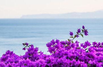 Villa Eliodora - due appartamenti - Foto 8