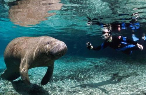 Lakeview Escape Kayaks - Foto 15