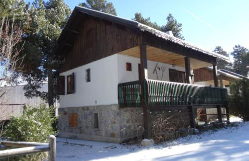 Le pic-vert - Foto 20