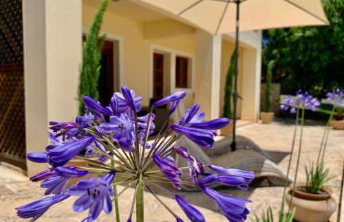 Aggelos and Thisbe Chania Suburbs Sea View Guest House - Foto 8