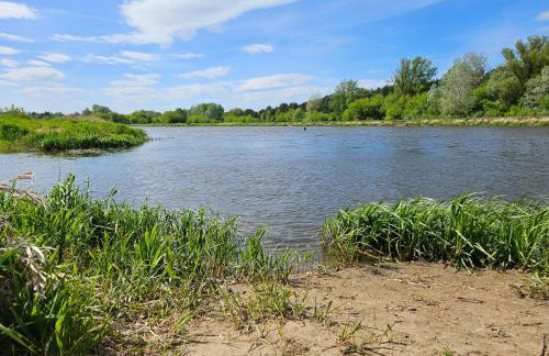 Dom z linią brzegową Narwi 2 - Photo 10