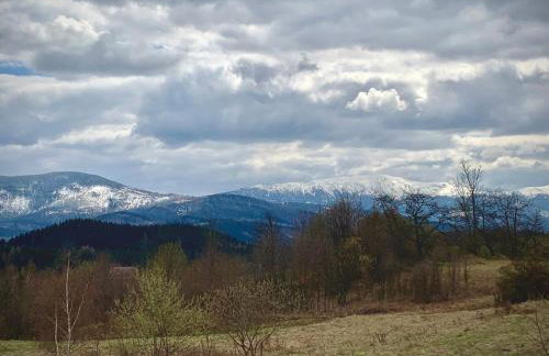 Kefasówka - Foto 34