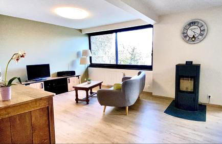 Villa le Menhir 4 Ch au Bord du Lac et Terrasse - Foto 48