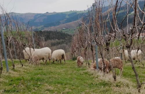 Agroturismo Erlete Goikoa -ESTAMOS EN EL CAMINO DE SANTIAGO -WE ARE ON THE CAMINO DE SANTIAGO- SENDERISMO-RUTAS Y BICICLETA - Photo 23