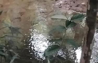 Campo e mar Bertioga - Foto 24