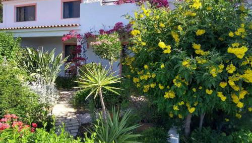 Feliz Apartments - Foto 3