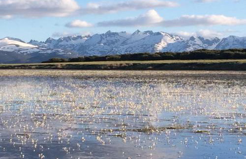 La Portilla de Gredos. Casa rural - Photo 20