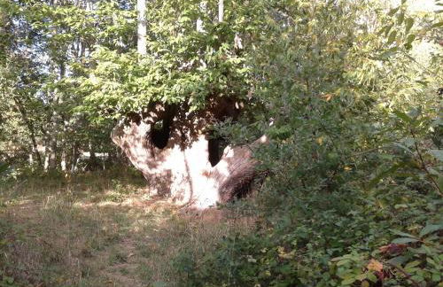 Casa do Estevo - Foto 53