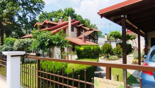 "The plane trees" - Foto 4, Garden