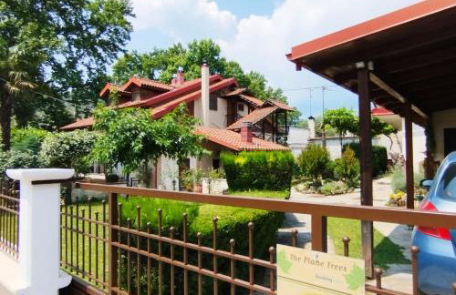 "The plane trees" - Foto 4