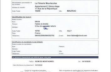 La Flânerie Mauriacoise - Photo 37