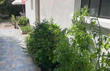 Charmant studio neuf et meublé - Foto 15