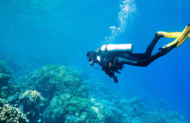 Morro de São Paulo Diving Introuction - Photo 1